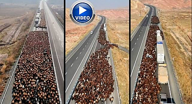 Göçerler yolu kapattı, onlarca araç bekledi!