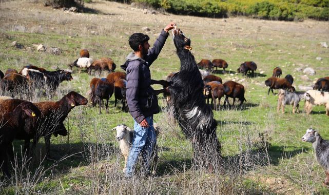 Göçerlerin dönüş yolculuğu başladı