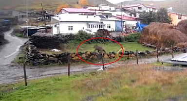 Gündüz vakti köylüyü korkutan görüntü!