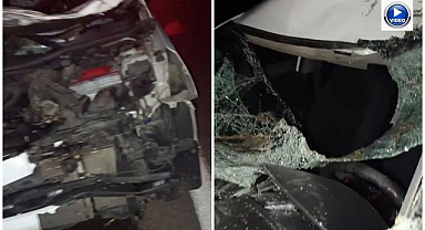 İneğe çarpan otomobilde can pazarı!