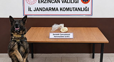 Jandarmadan iki ayrı uyuşturucu operasyonu!