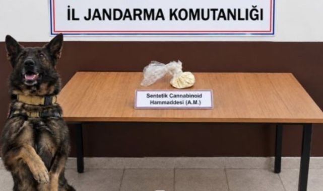 Jandarmadan iki ayrı uyuşturucu operasyonu!