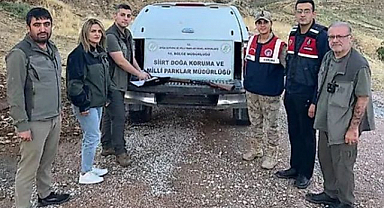 Kaçak avcılığa geçit vermediler