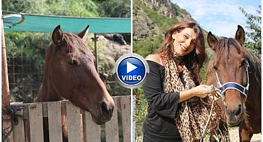 Kesimden kurtulan atlara yuva oldular