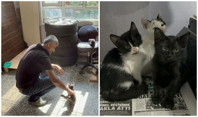 Matbaada kedili mesai! Patili dostlara yuva oldu