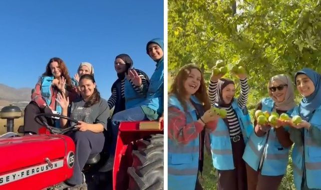 Öğrenciler meyve hasadına katıldı