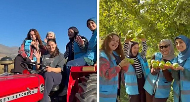 Öğrenciler meyve hasadına katıldı