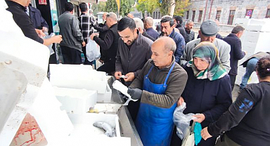 Palamut tezgahlarda kapış kapış gitti