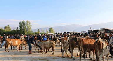 Şap hastalığına karşı aşılama uyarısı