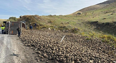 Şeker pancarı yüklü tır şarampole yuvarlandı