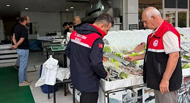 Su ürünleri satış noktalarına denetim