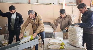 Türkiye'nin tohumluk kuru fasulyesi Doğu'dan...