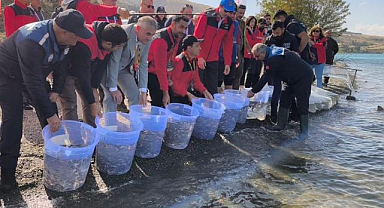 Yarışmada tutulan sazanlar yeniden suya bırakıldı