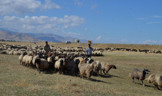 Yayla sezonu bitti, göçerler yola düştü!