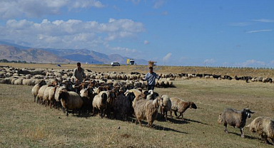 Yayla sezonu bitti, göçerler yola düştü!