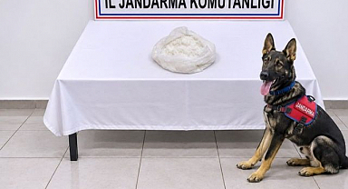 Yolcunun çantasında uyuşturucu madde ele geçirildi
