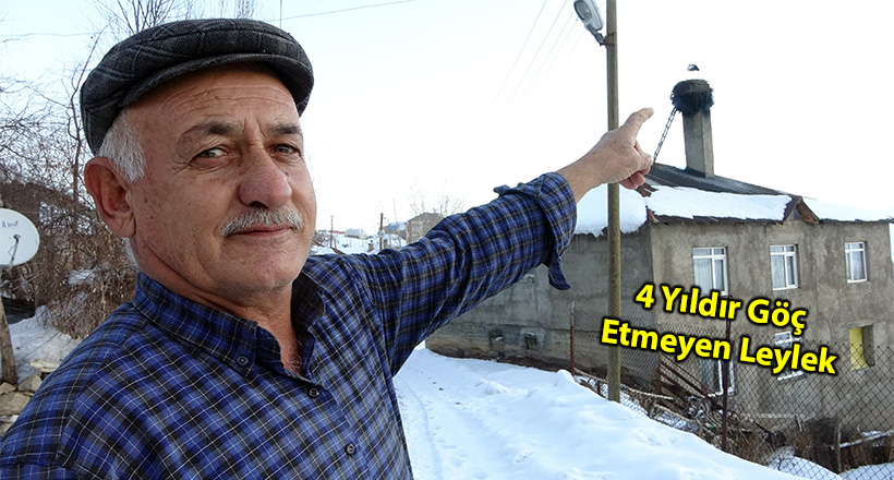 Köyün Maskotu Oldu