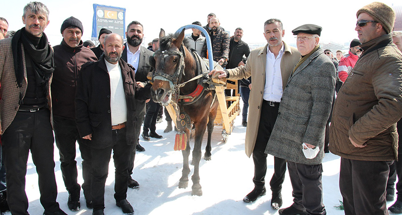 Tek Gözlü Şampiyon