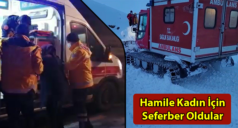 Hamile Kadın İçin Seferber Oldular