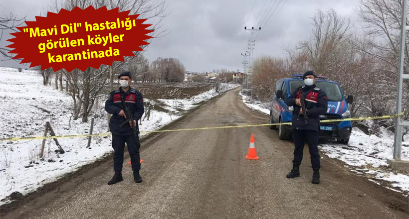 Şehir Diken Üstünde
