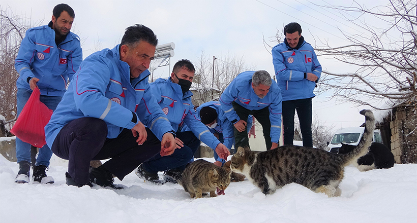 Kış Günlerinde Yürekleri Isıttılar