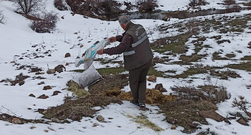 Doğaya 25 Ton Yem Bıraktılar
