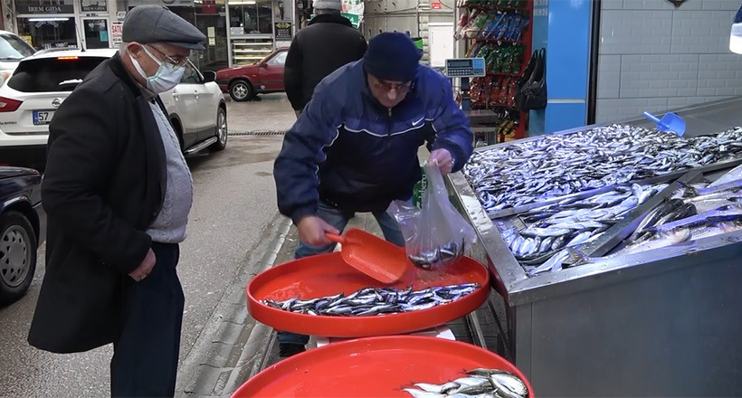 Hamsi Geri Geldi, Balıkçılar Neşelendi