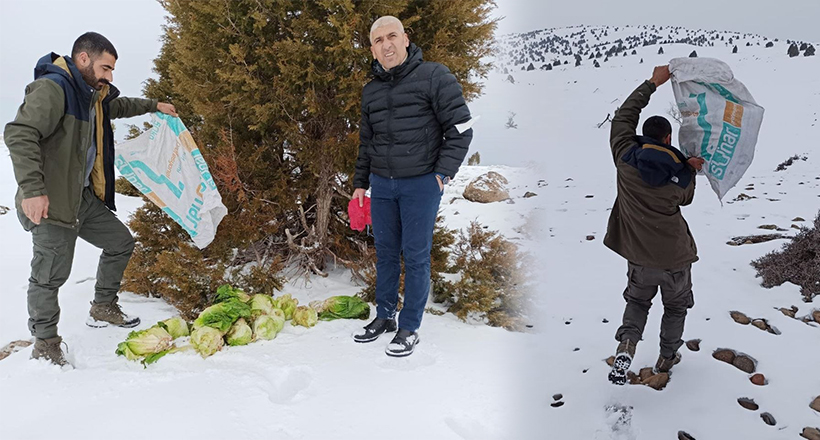 Doğaya Yem Bırakıldı