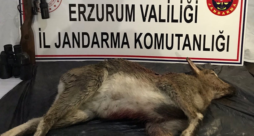 Kaçak Avcılara Ceza