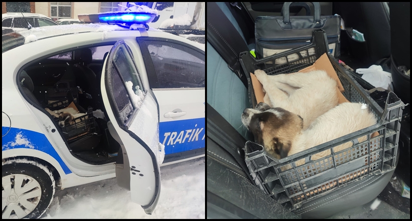 Polis Sahip Çıktı