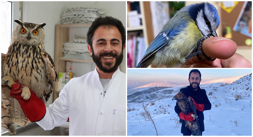 Yaban Hayvanlarına Şifa Dağıtıyor