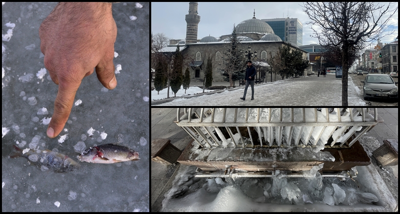 Balıklar Bile Dondu