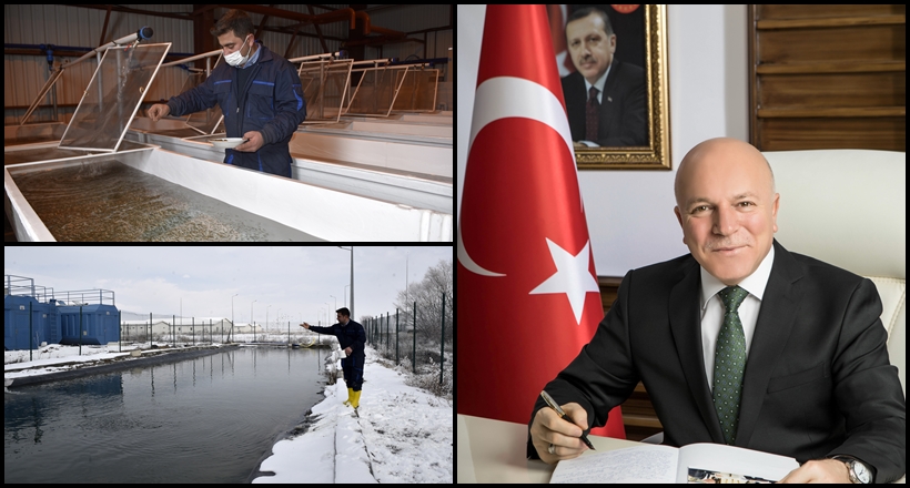 Büyükşehir Yavru Alabalık Üretecek