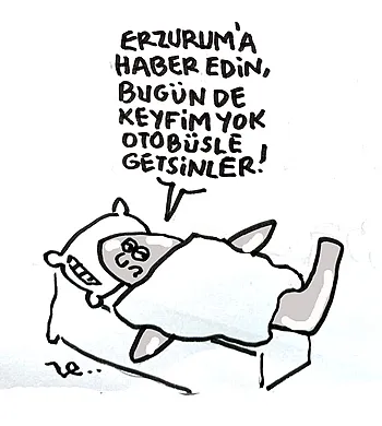 Vedat refayeli