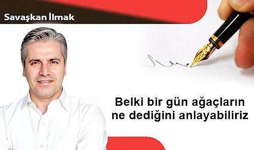 Belki bir gün ağaçların ne dediğini anlayabiliriz